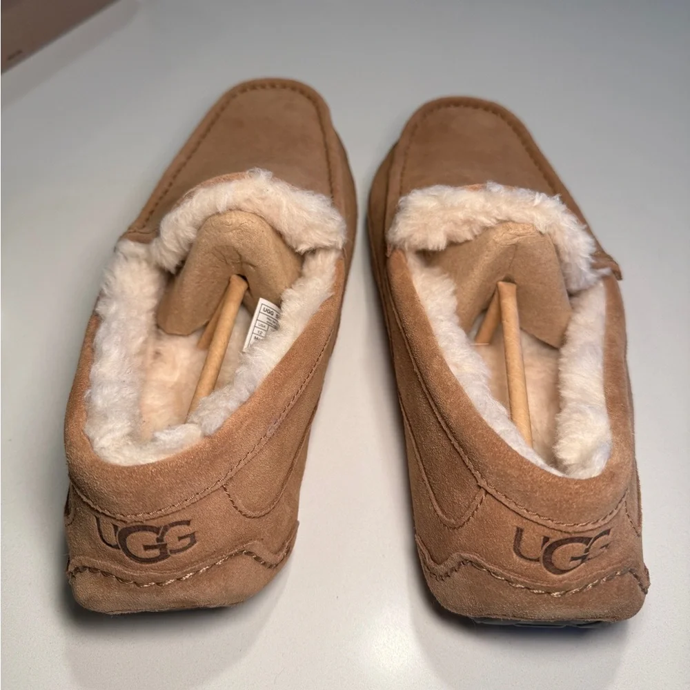 UGG - Men’s Ascot Slipper in Chestnut - US 12 - Picture 6 of 15